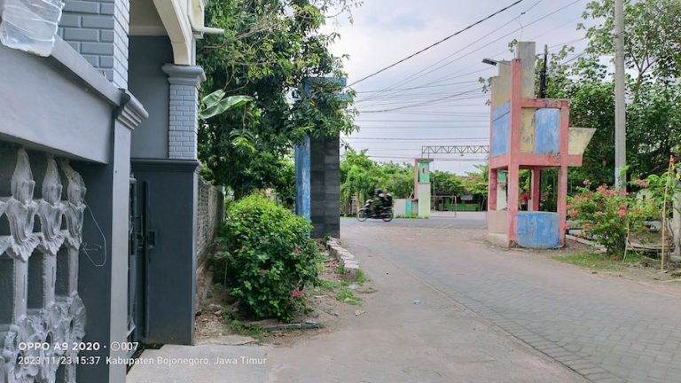 Resize IMG20231123153706